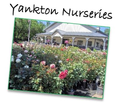 Yankton Nurseries